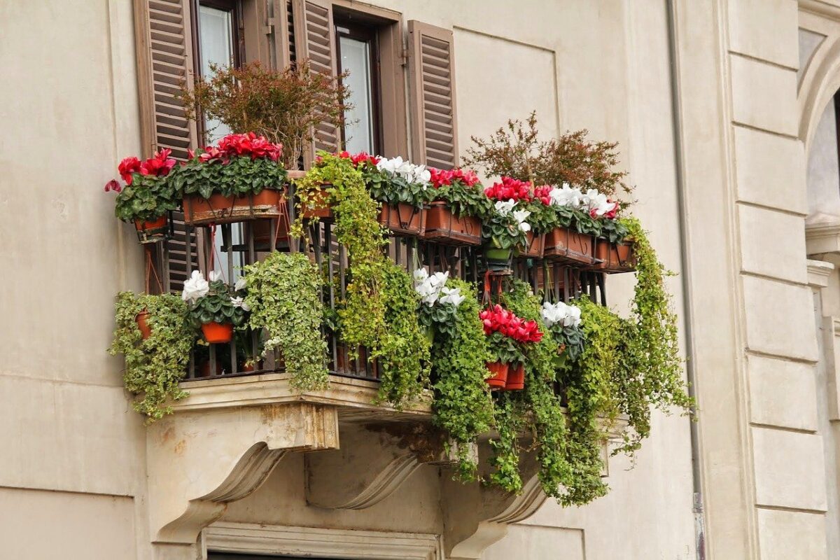 top vertical garden ideas for balcony